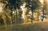 Vilhelm Hammershoi - Beech Forest, Arresodal